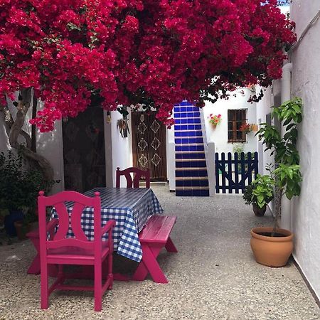 Andaluz Living - Traditional Andalusian House, Casa De Vecinos إل بويرتو دي سانتا ماريا المظهر الخارجي الصورة